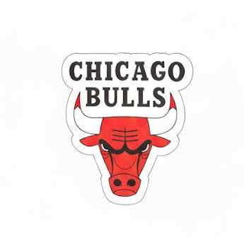 Chicago Bulls